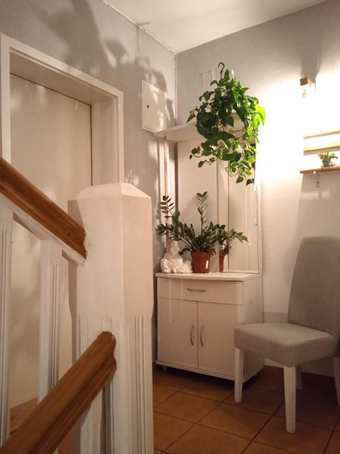Villa Monera Apartments & Rooms & Free Garage Mostar Esterno foto